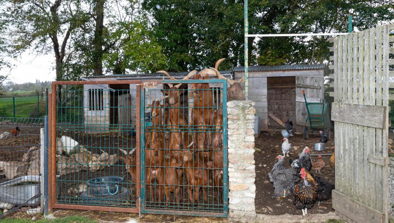 La Ferme Des Nonains Daire Montjavoult Dış mekan fotoğraf